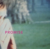 Promise