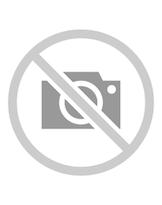 Montréal et l'art du monument